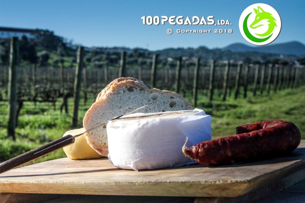 Festival Queijo, Pão e Vinho – Palmela