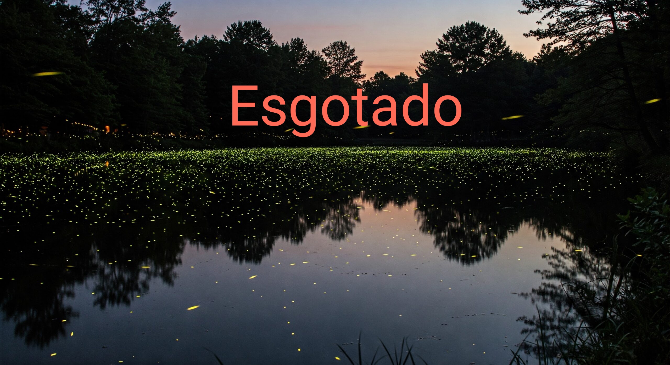 Pirilampos na Mata da Machada