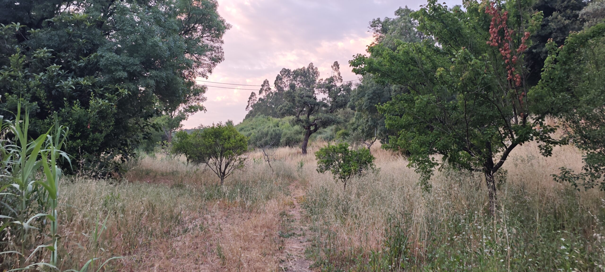 Caminhada Noturna na Mata de Belas