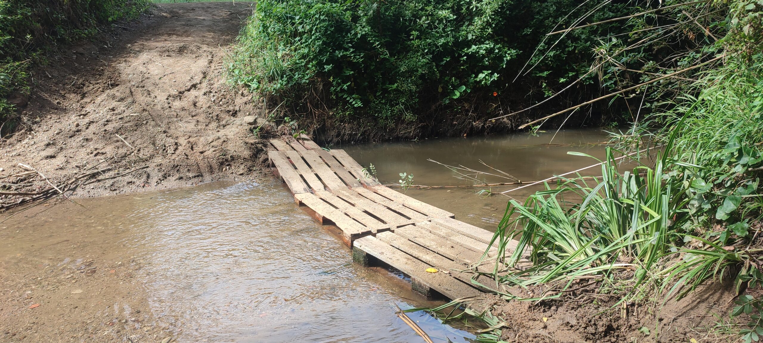 Rio Lizandro em busca da Amazónia