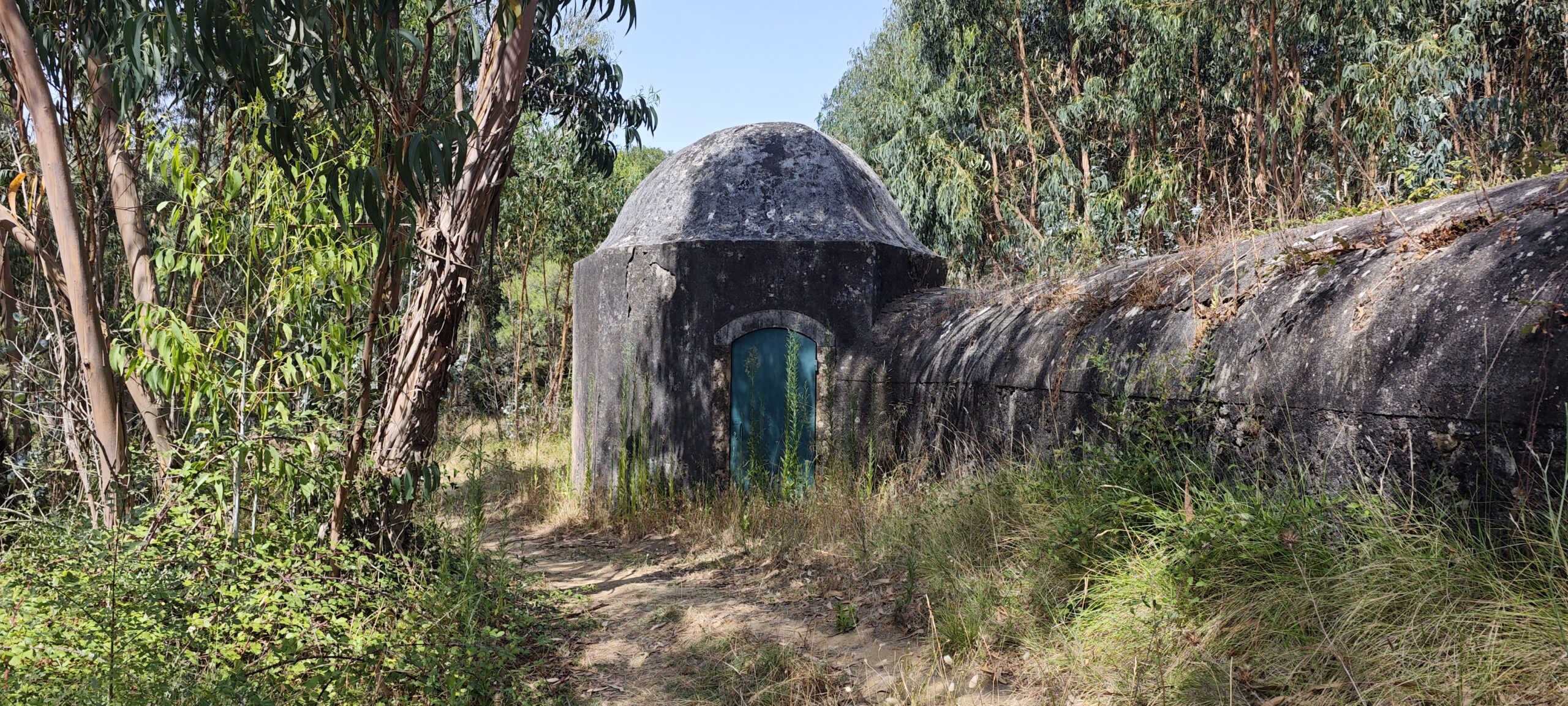 Trilhos na Mata de Belas