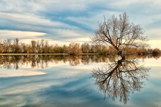 São Martinho na Golegã- Paul Boquilobo e Feira do Cavalo