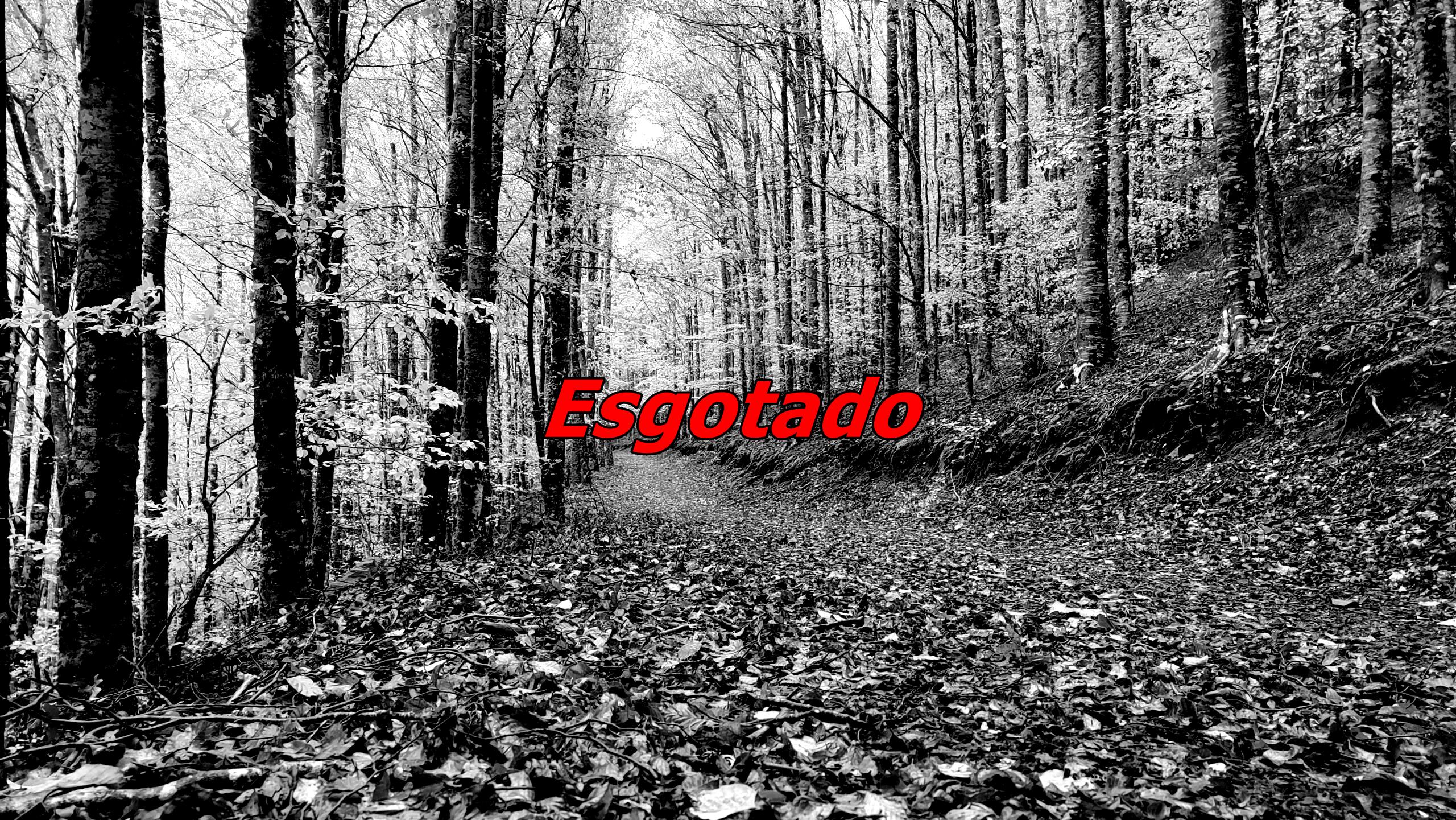 Manteigas – Rota das Faias (Domingo Manhã)