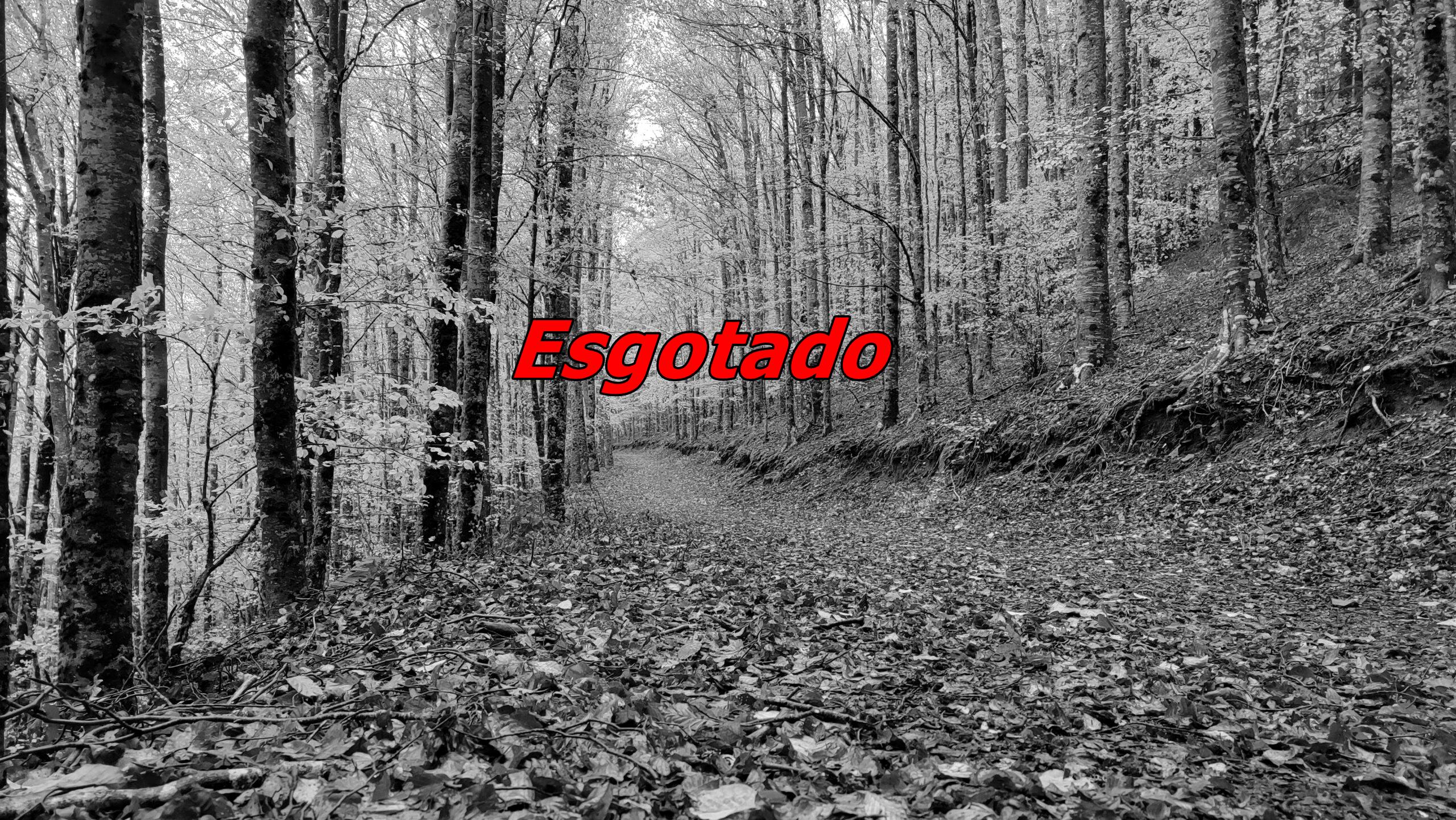 Manteigas – Rota das Faias (Sábado Tarde)